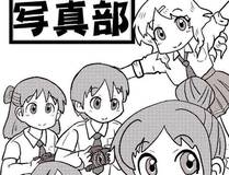 小蘑菇